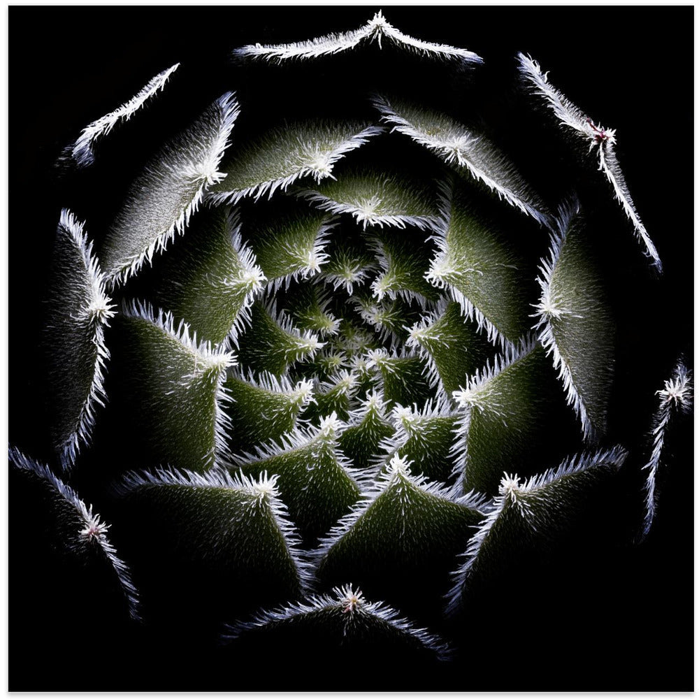 Dark Abstract