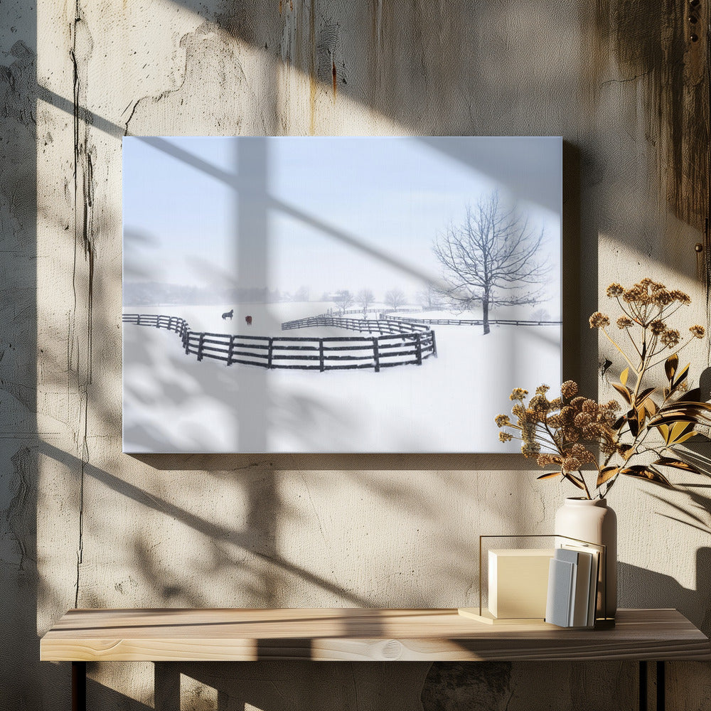 Winter farm