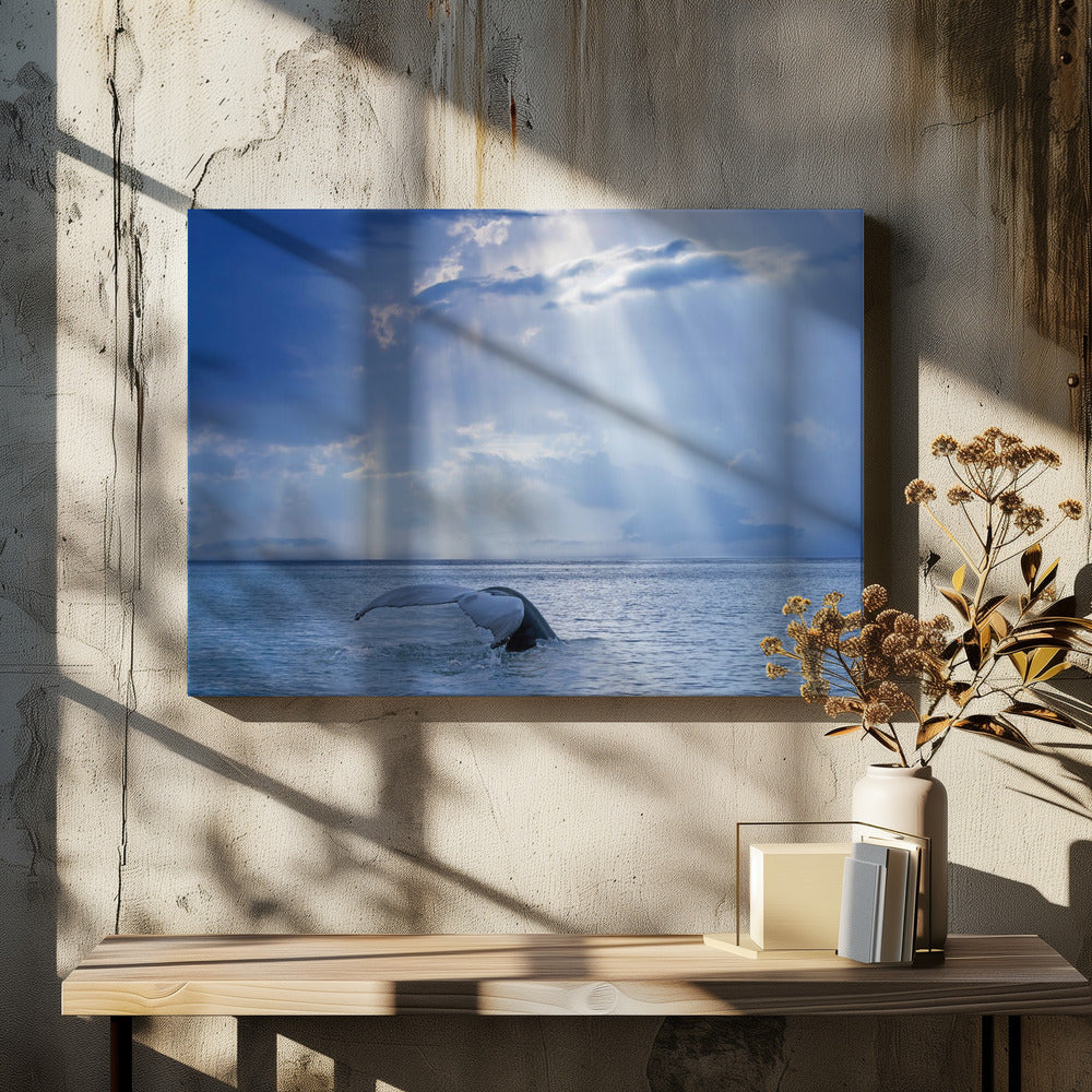 Whale and sun rays