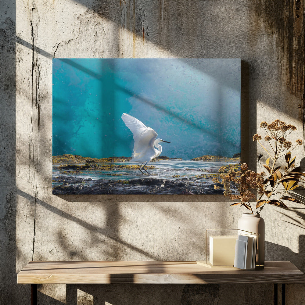 Common egret