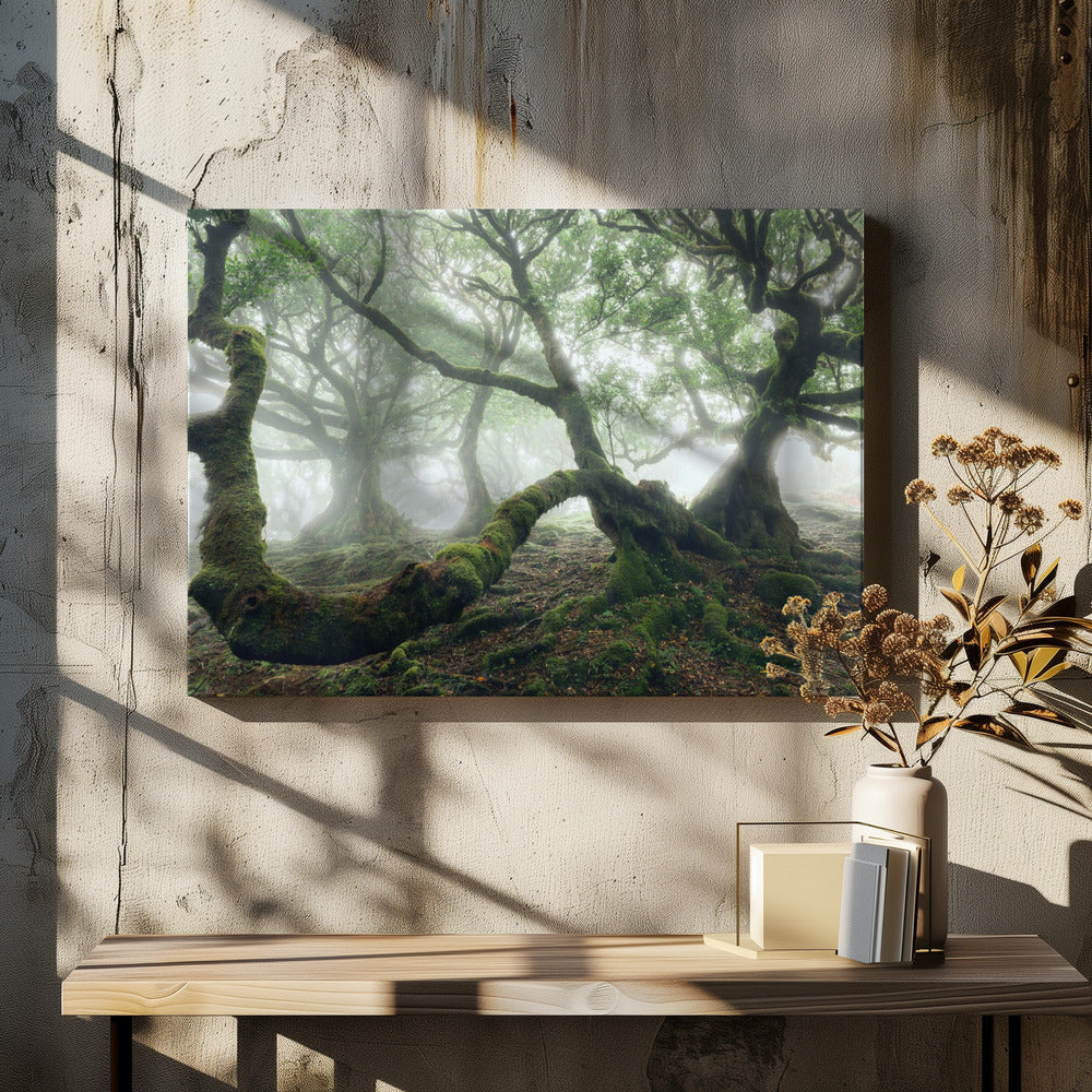 Mystic Laurel Forest