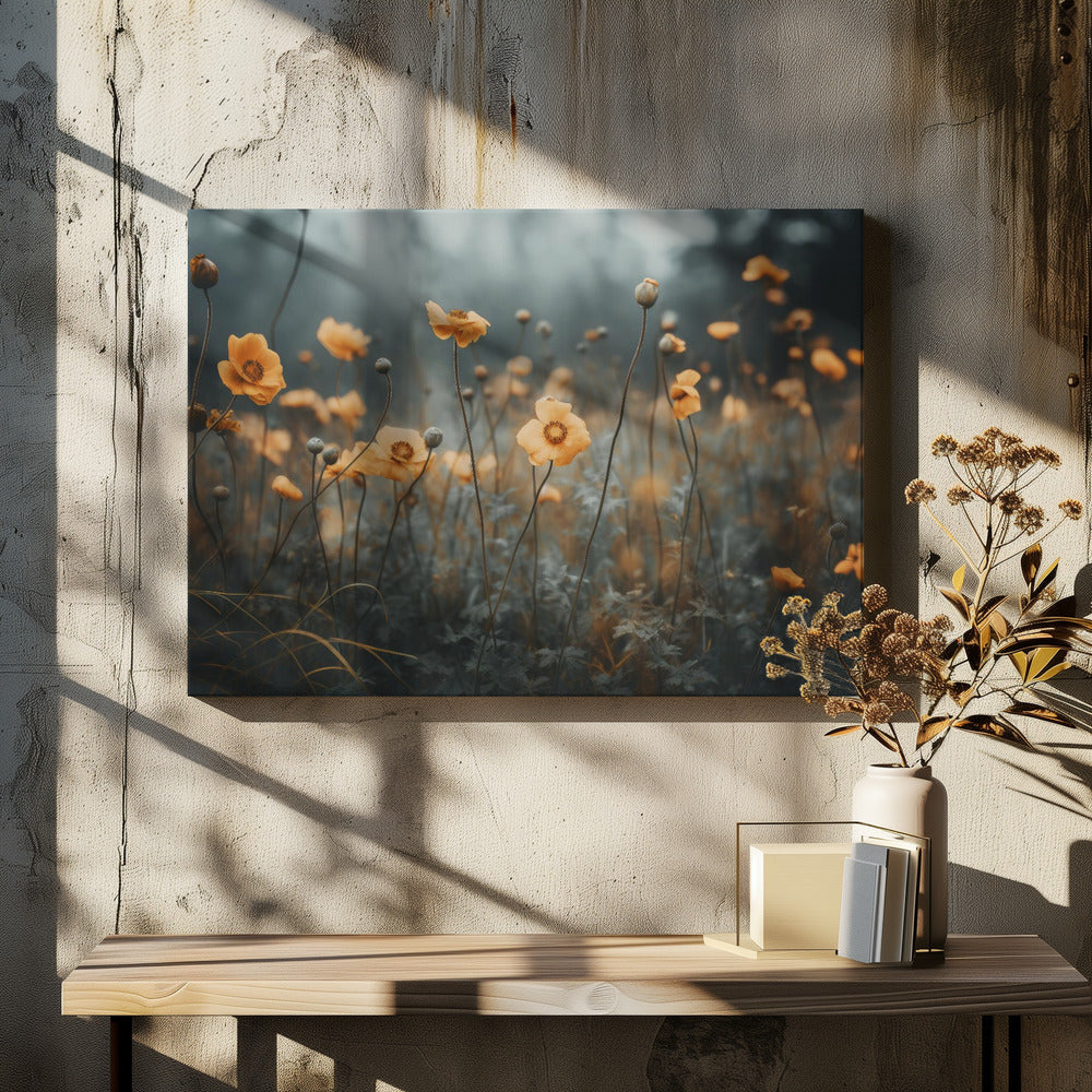 Golden Poppy Dream