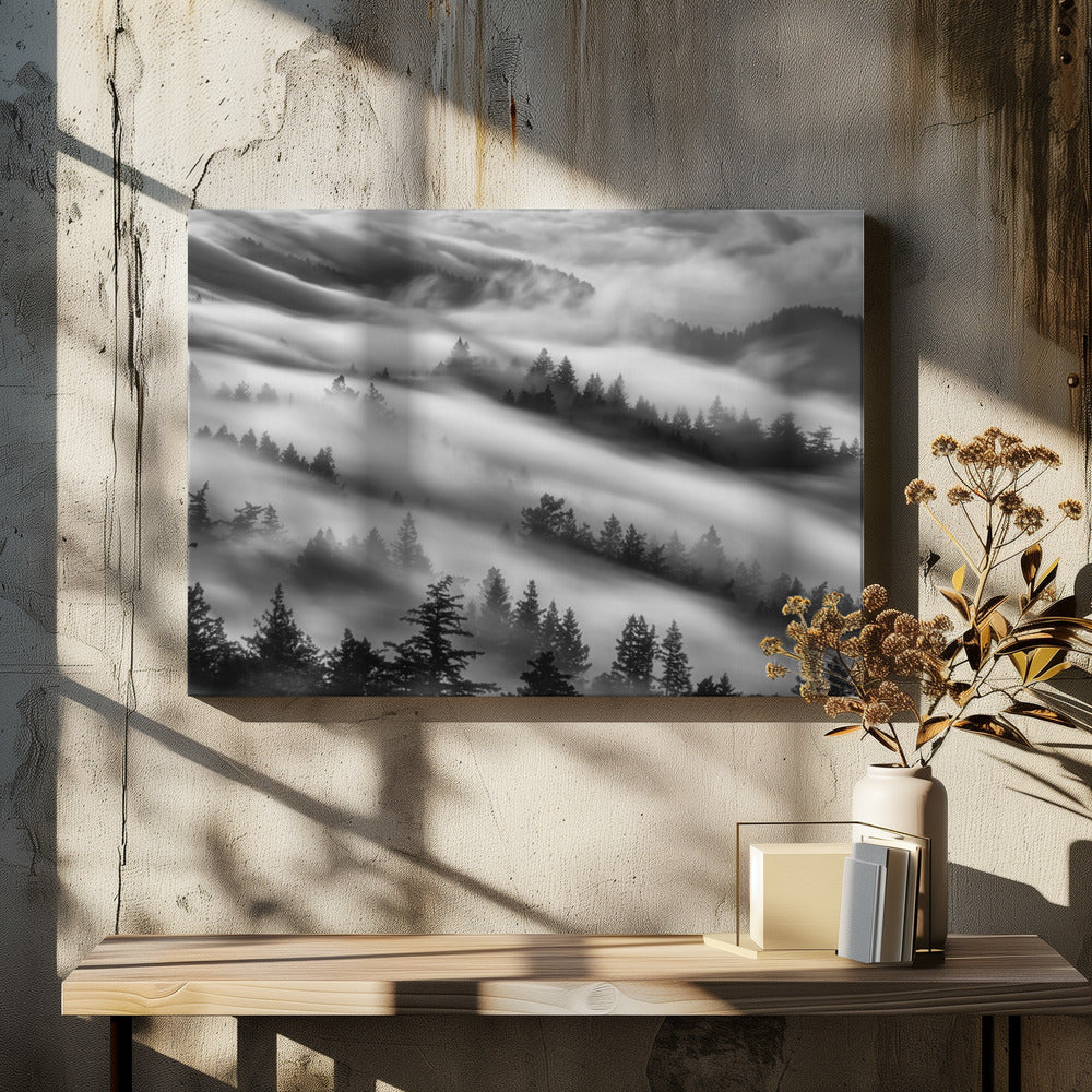 Forests