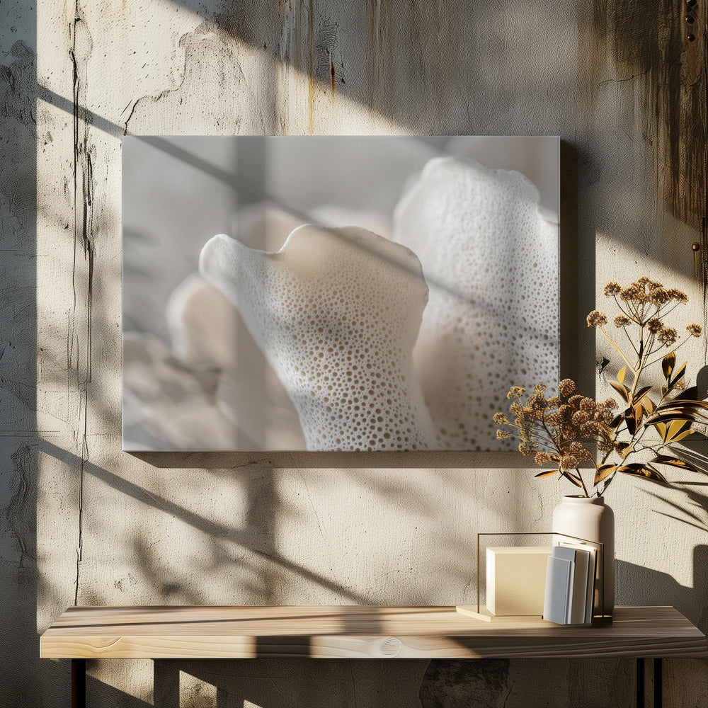 Porcelain Petals