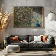 Art Prints of Wild Beauty