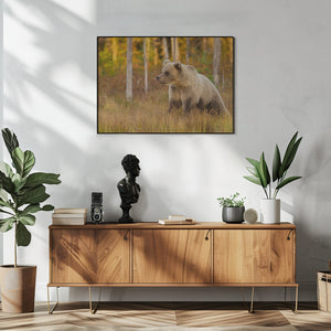Art Prints of Watching the sunset