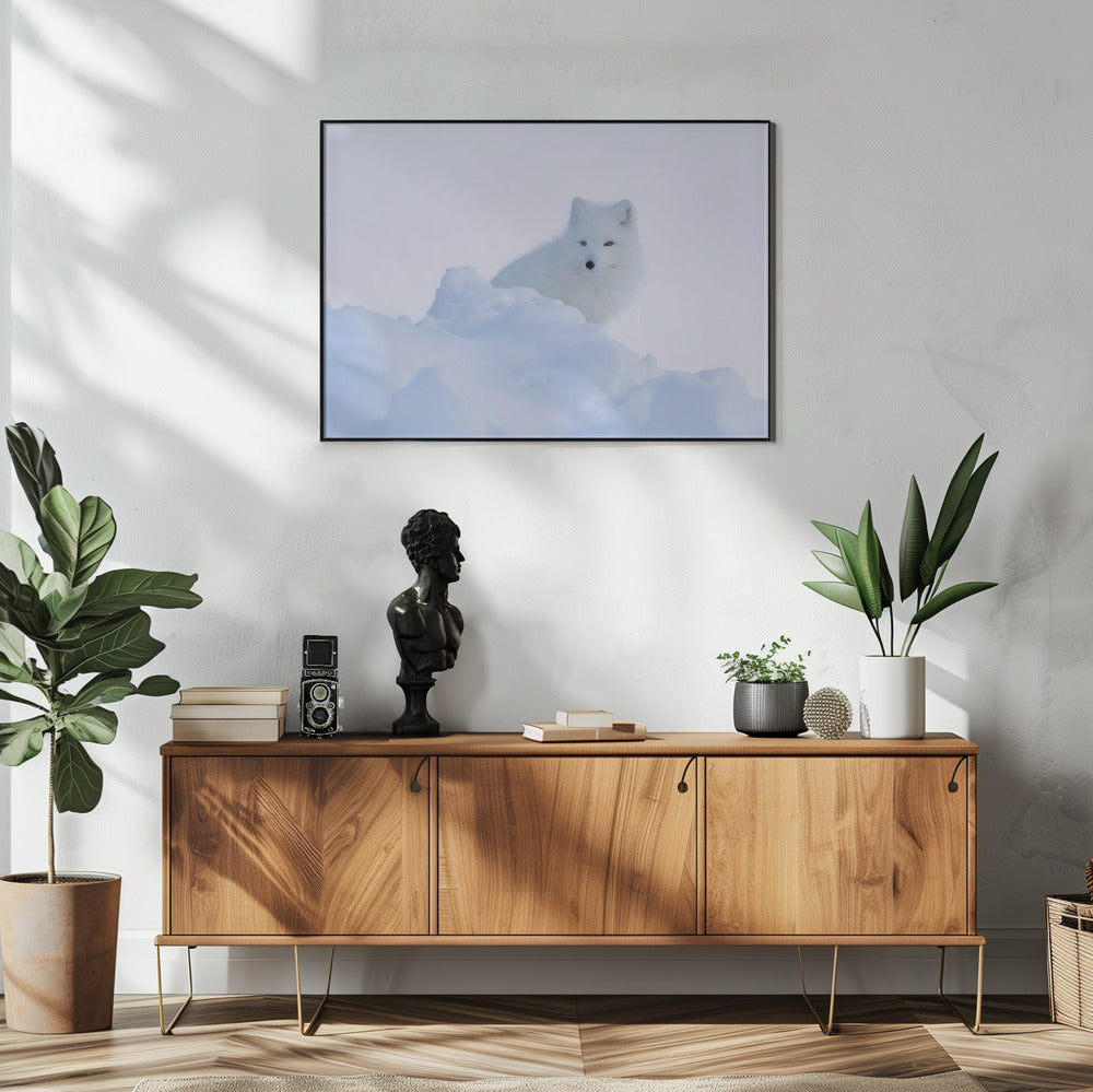 Art Prints of White fox