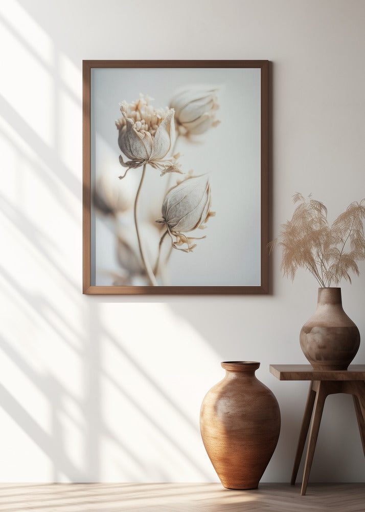 Delicate Blossoms