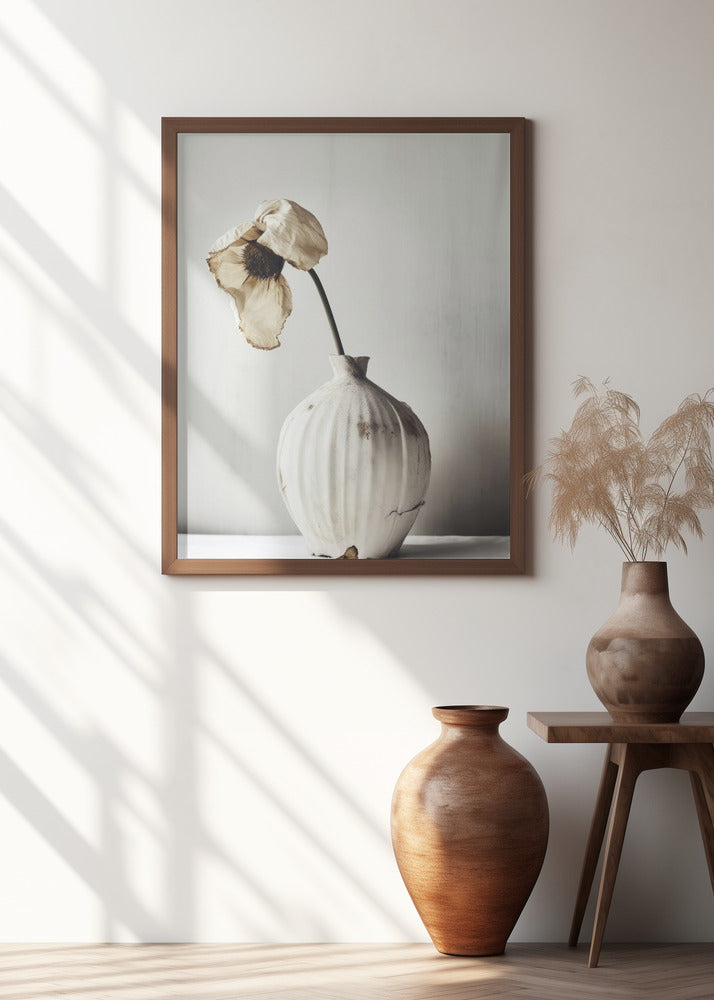 Fading Elegance
