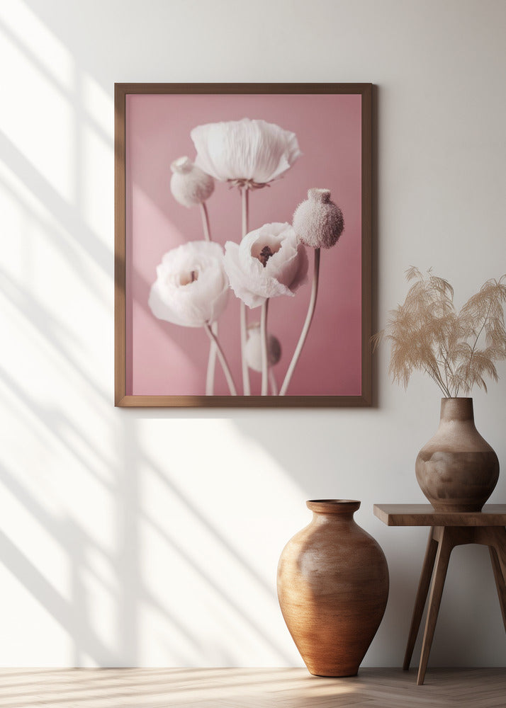 Soft Blooming Poppies