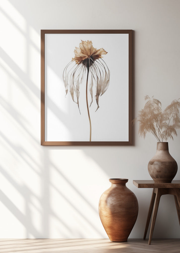 Faded Elegance