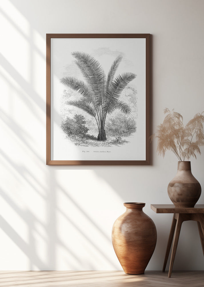 Vintage Palm Tree Drawing Vii