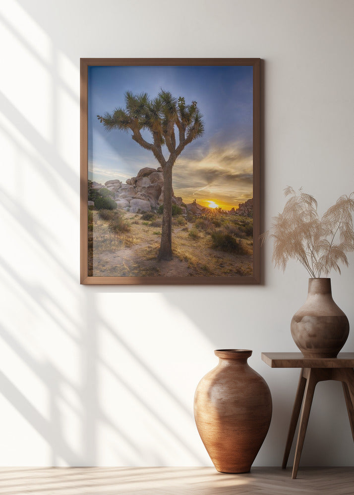 Charming sunset at Joshua Tree National Park