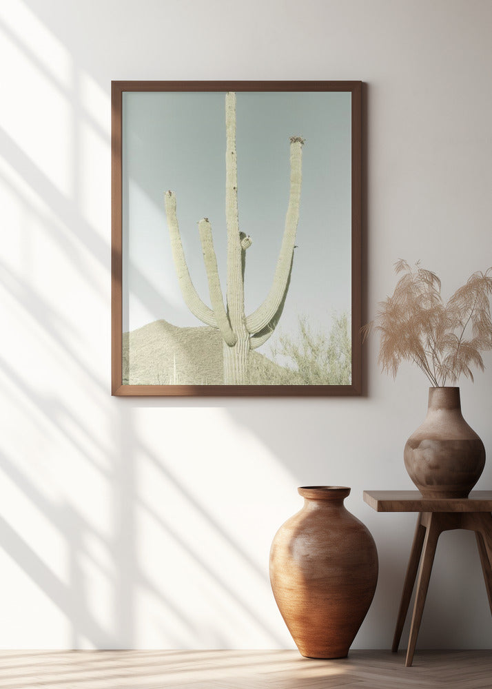 SAGUARO NATIONAL PARK Vintage Giant Saguaro