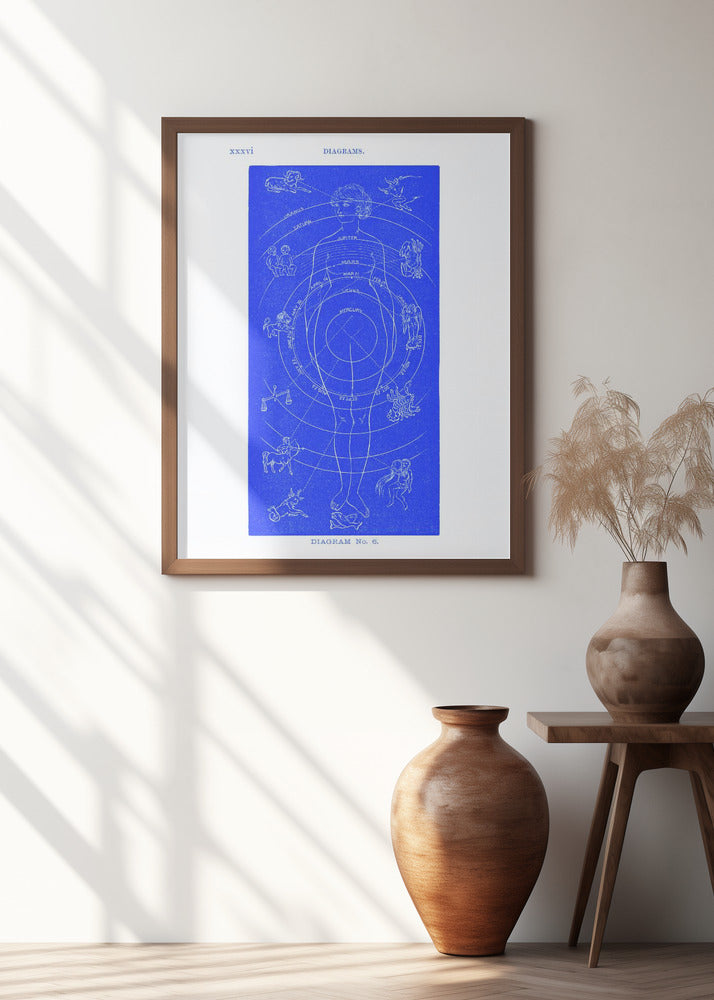 Solar Biology No. 6 blue (creative ed.)