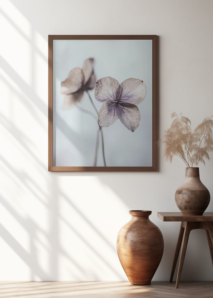 Ethereal Petals