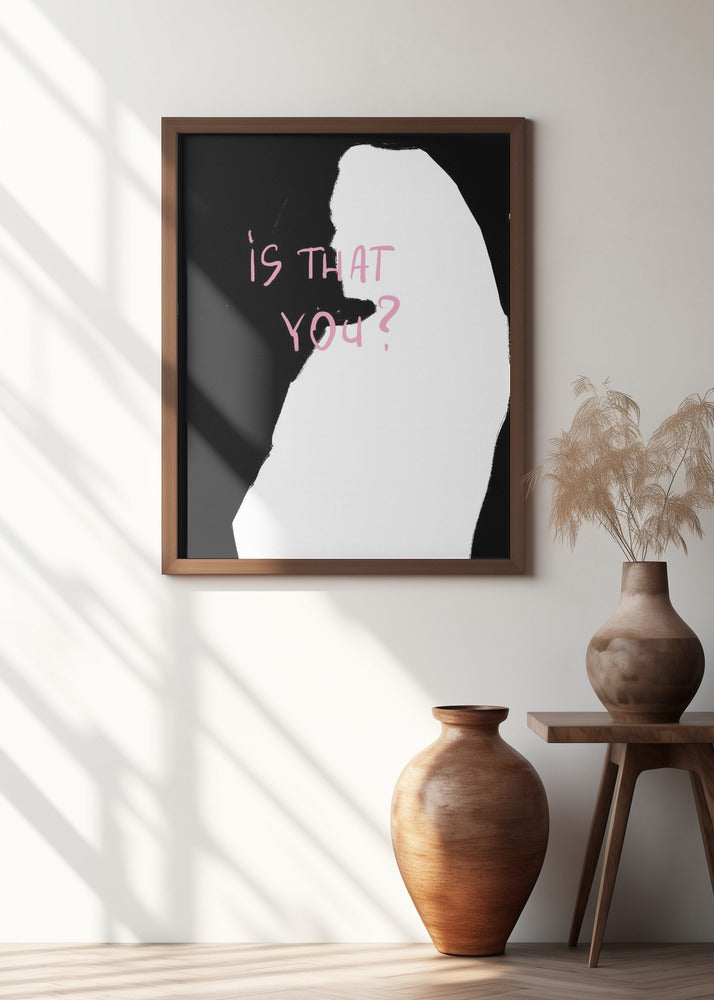 Silhouette Inquiry