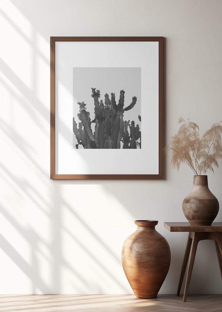 Cactus Silhouette