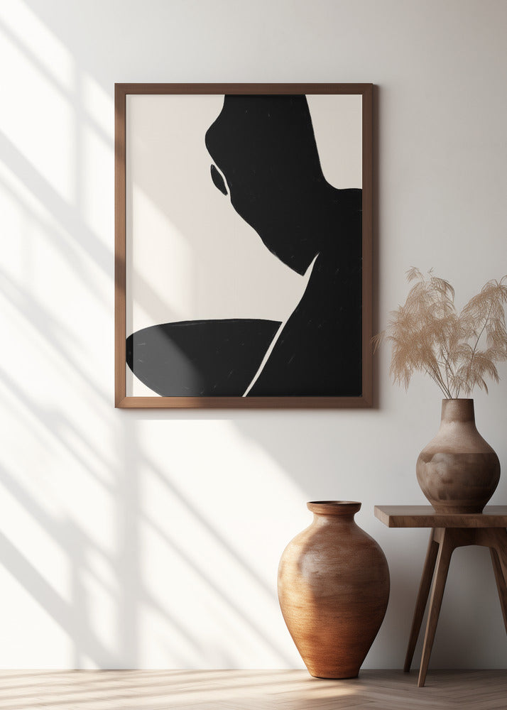 Shadowed Contours