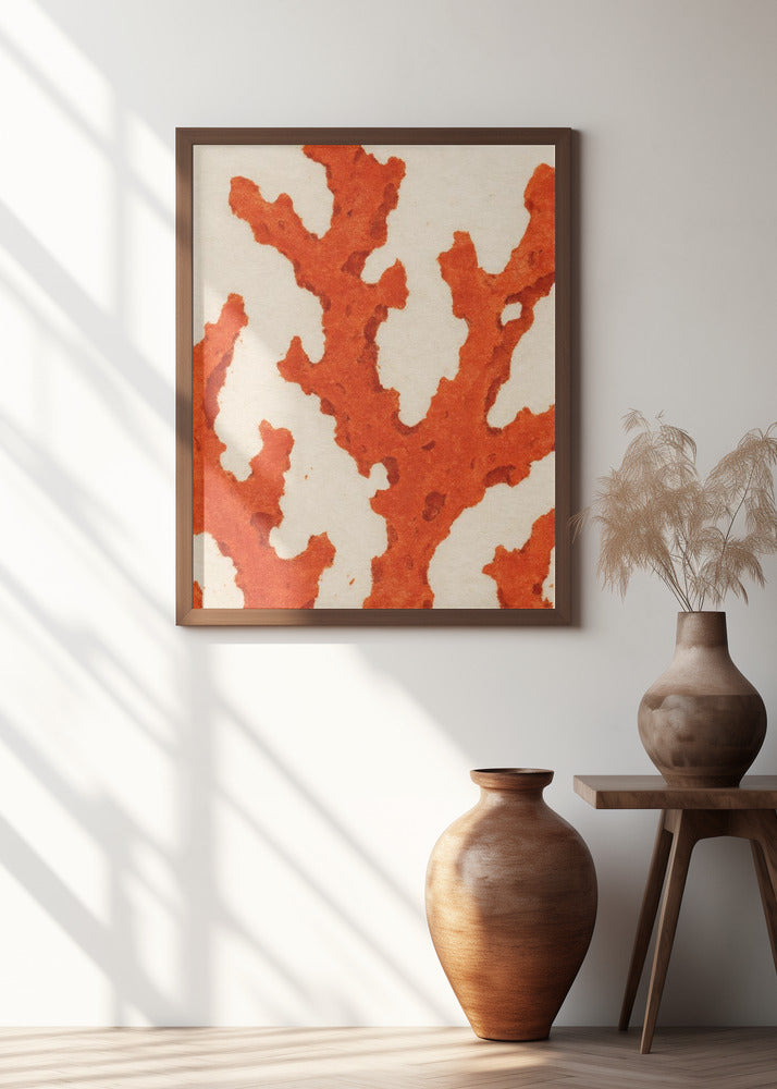 Coral Dreams