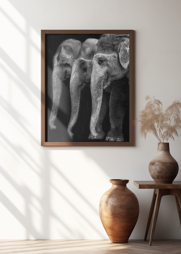 Nature\'s great masterpiece, an elephant; the only harmless great thing ...