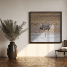 Art Prints of Solo dance