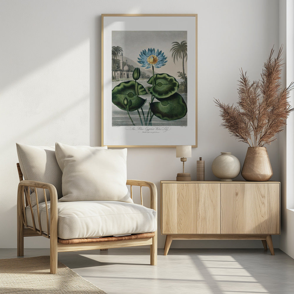 The Blue Egyptian Water-Lily from The Temple of Flora (1807)