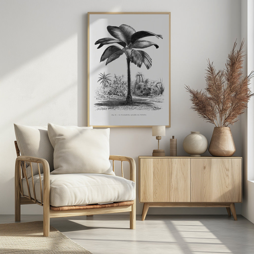 Vintage Palm Tree Drawing Iii