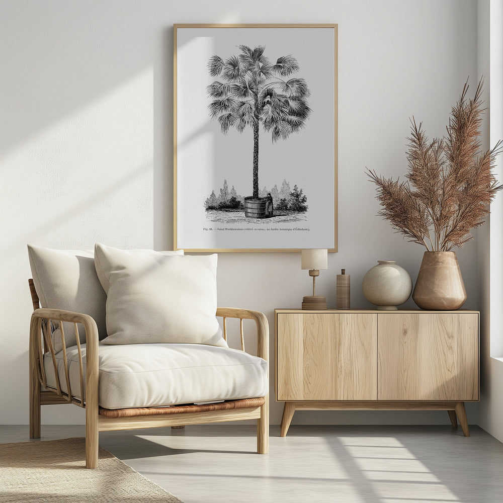 Vintage Palm Tree Drawing X