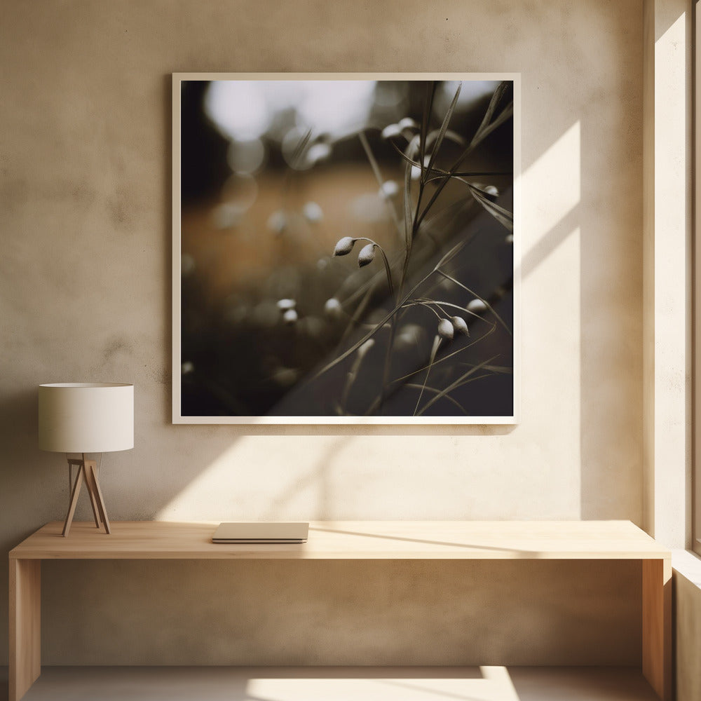 Dreamy Grasses