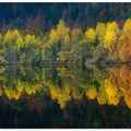 Autumnal silence