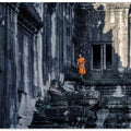 The young monk