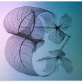 Story of leaf and flower