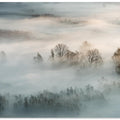 Winter fog