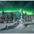 polar night
