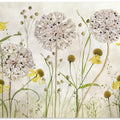 Alliums and heleniums