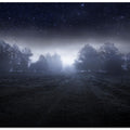 Visions of the night