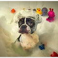 The Bath
