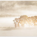 Autumn Dreams