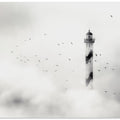 the fog