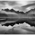 Monochrome Majesty