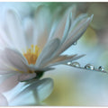 Light touch...