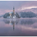 Frozen Fairytale