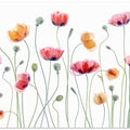 Papaver party