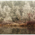 Frozen