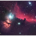 The horse in the sky