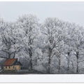Chapel and Rime