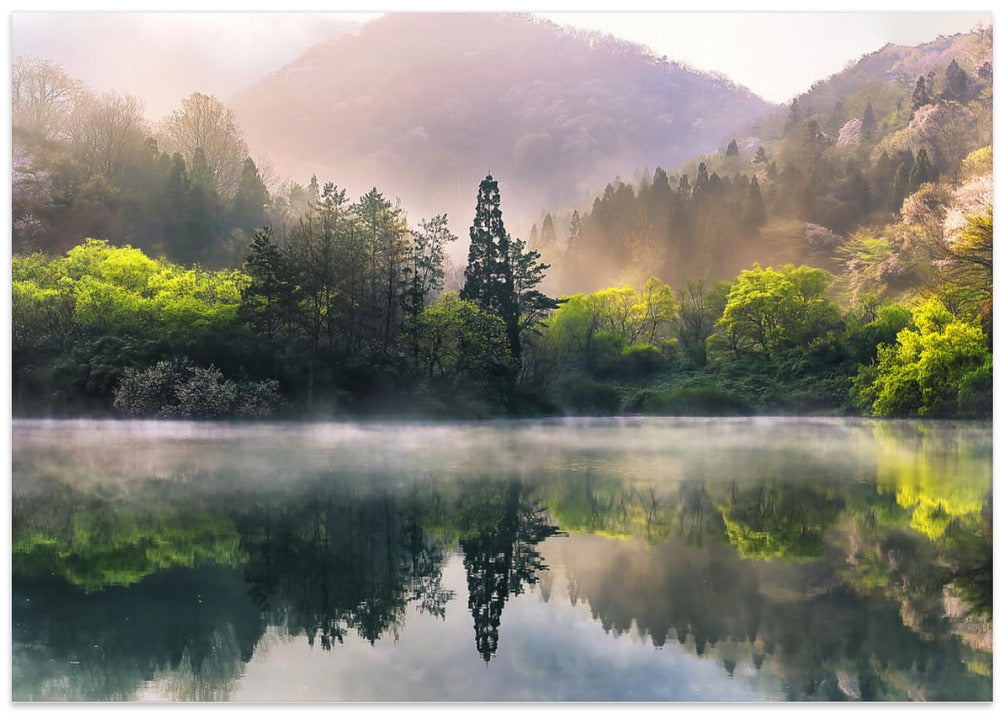 Morning calm