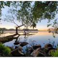 Lake view