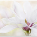 Purity